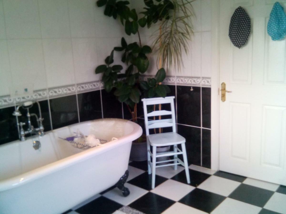 Bed and Breakfast Y Garreg Wen Llanybydder Екстер'єр фото